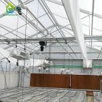OEM 2m 2.5m Wall Height Light Deprivation Greenhouse For Cannabis