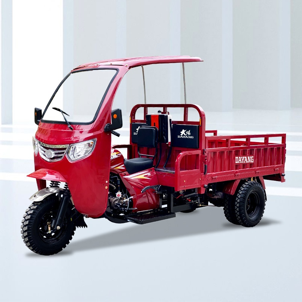 Cabin DAYANG Motorized Adult Passenger Cargo Tricycle 3 Wheel Bike Taxi Tuk Tuk Cart