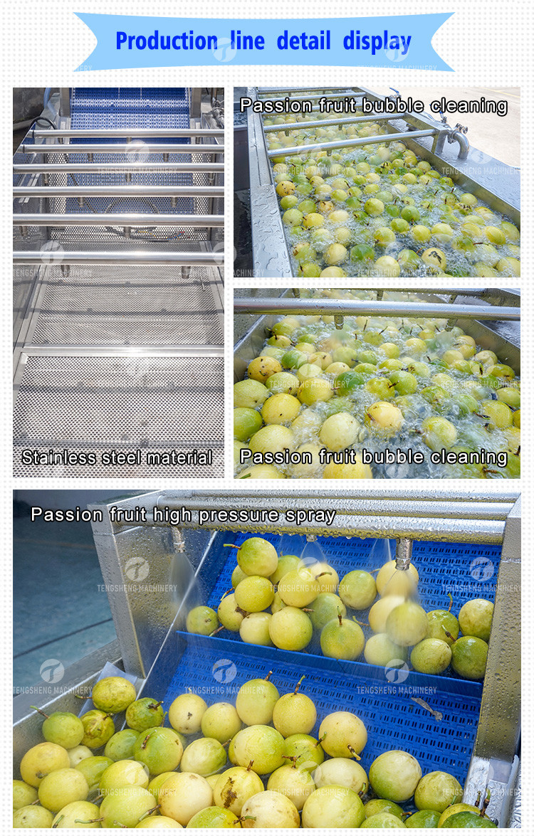 Passion Fruit Bubble Cleaning And Drying Sorting Production Line