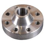 F304 F304L F316 F316L 31803 32750 Stainless Flange