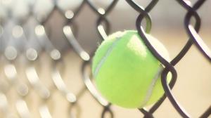 Wholesale 8 Guage Galvanized Chain Link Fence Diamond Fence For Playground from china suppliers