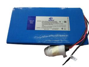 Wholesale Lithium Polymer Battery Pack 24V 10Ah For Electric Vehicle from china suppliers