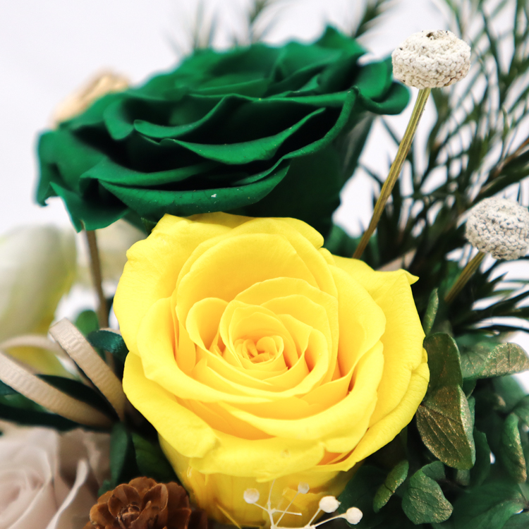 100% Real Rose Flower In Glass Dome With No Maintenance Required