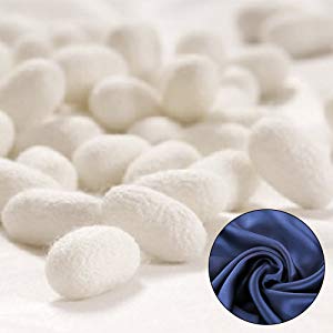 Slip Silk 19/22 Mm Sleep Silk Eye Mask Custom Logo Label