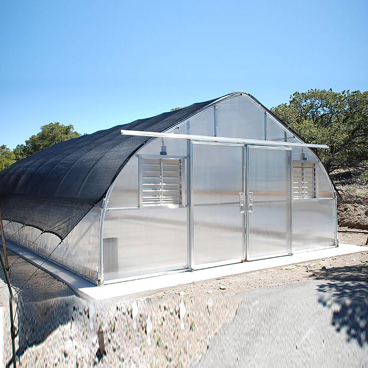 Tropical Plastic Film Single-span Sawtooth Strawberry Growing Tent Greenhouse