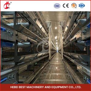 Wholesale Automatic Poultry Farm Equipment With Automatic Feeding System Rose from china suppliers
