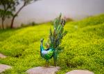 Colorful Metal Yard Ornaments Vivid Metal Peacock Garden Decoration
