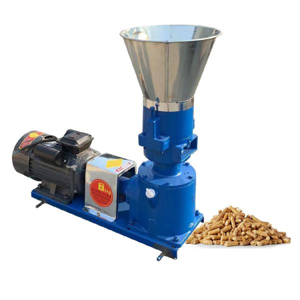 BH-125 Small Automatic Poultry Feed Pellet Machine For Household Energy