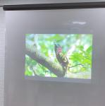 Dark Grey Self Adhesive Rear Projection Foil , Front Projection Film for Trade