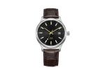 C3 Luminous Stainless Steel Dive Watches Automatic Genuine Leather
