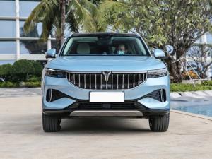 Wholesale Voyah Free SUV Electric Car 4 Wheel Drive High Speed 200 Km/h New Energy from china suppliers