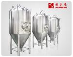 Stainless Steel Cylindro Conical Fermenter