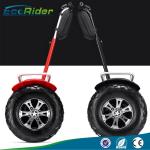 Self Balance Segway Electric Scooter Brushless Off Road Motorized 21 Inch Tire