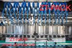 Piston Servo Motor Bottle Filling Machine For Edible Vegetable Oil Peanut Oil