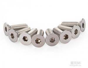 Wholesale stainless steel bolt/screws from china suppliers