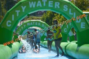 Wholesale Long Outdoor Inflatable Water Slides , Green Inflatable City Water Slides For Adult from china suppliers