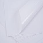 Thermal Sublimation Transfer