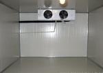 2M Height Fridge Freezer Cold Room 1.0mm Steel Cooling Storage Room