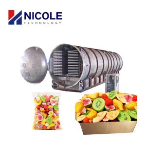 Wholesale CE Commercial Use Lyophilizer Beef Vacuum Freeze Dryer For Vegetable And Fruit from china suppliers