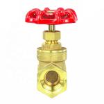 Gasoline Metal Gate Valve Oil And Gas 1 Inch 2 Inch 3 Inch 4 Inch
