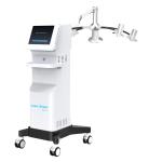 Pure Laser 6D Diode Green Red Laser Weight Loss Machine Body Slimming