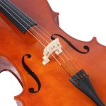 4/4 Professional Handmade Cello Solid Wood Advanced Cello (DC-601) The front
