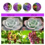 High Brightness LED Greenhouse Lighting , Home Depot Bulbs 30W LED Herb Grow