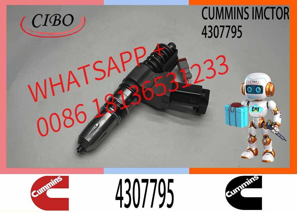 Common Rail Fuel Injector 4307795 3411767 3411759 3411381 For Cummins QSN14 N14 Engine