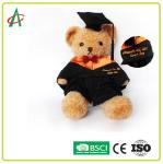 ASTM Stuffed Teddy Bear Graduation