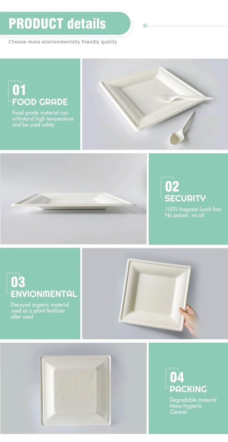 Square Take Away Paper Plates White Paper Food Containers Oil Free