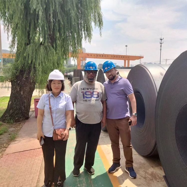 PVOC Certified Zinc Coating Sheet Galvanized Steel Coil for Competitive Market