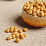 Anti Ultraviolet Natural Soybean Protein Fiber Whiteness 52% For Filling