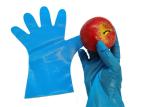 Flexible Puncture-resistant Blue CPE Gloves for Kitchen Food Classification