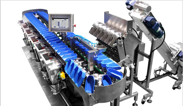 Dynamic Weight Sorter Machine , Conveyor Belt Sorting System 60HZ Overturned
