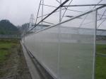 30-150G Greenhouse Shade Net HDPE UV Protection and Insect Proof Netting for