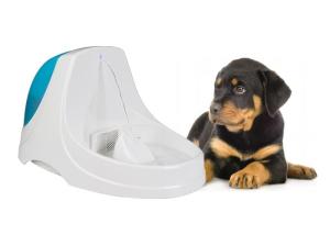 Wholesale 3.6L Automatic Dog Water Fountain Quiet Cat Drinking Fountain With LED Light from china suppliers