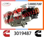 Genuine Diesel Fuel Injection Pump 2048809 3019487 3059657 For Cummins NT855