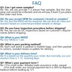 NO Inflatable Gecko King Outdoor/Indoor Rock Climbing Holds for School Climbing