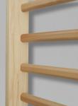 Wall Bars, Swedish Ladders, Stall Bars At A Yoga Studio, Gymnastics Class,