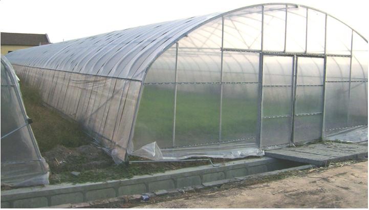 Agriculture Small Tunnel Greenhouse Anti Fog With Huge Roof / Side Ventilation