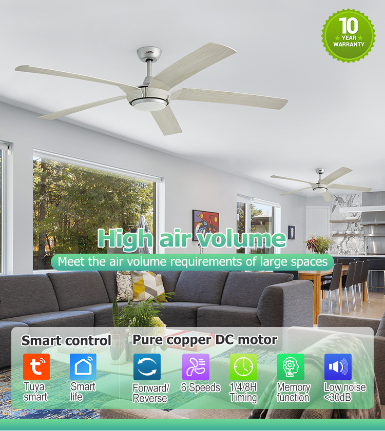 Big Room 65 Inches 5 Blades LED Ceiling Fan with Remote Control and 110-240V/50Hz-60Hz