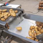 Fruit And Vegetable Production Line Multi Station Selection Cutting Conveyor