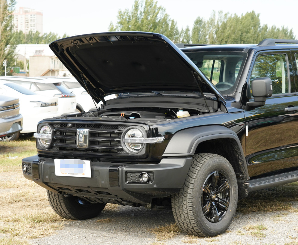 Cool 2023 Tank 300 2.0T City Model Challenger Version Compact SUV 5 Door 5 Seats