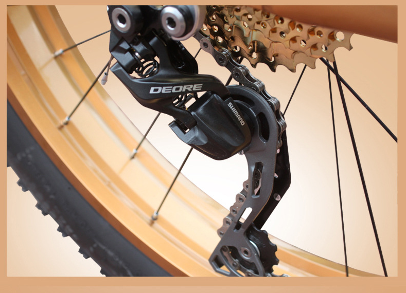 Private Label OEM 1000W 29 Inch Electric Mountain Bike