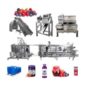 Wholesale Industrial Blueberry Processing Machinery For Automatic Berry Juice Production Line from china suppliers