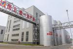Engineering Edible Palm Oil CPO Refinery Plant For Daily Cooking