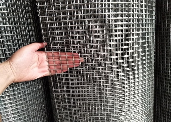 Galvanized Welded Wire Mesh Hot Dip Galvanized Welded Mesh for Fence