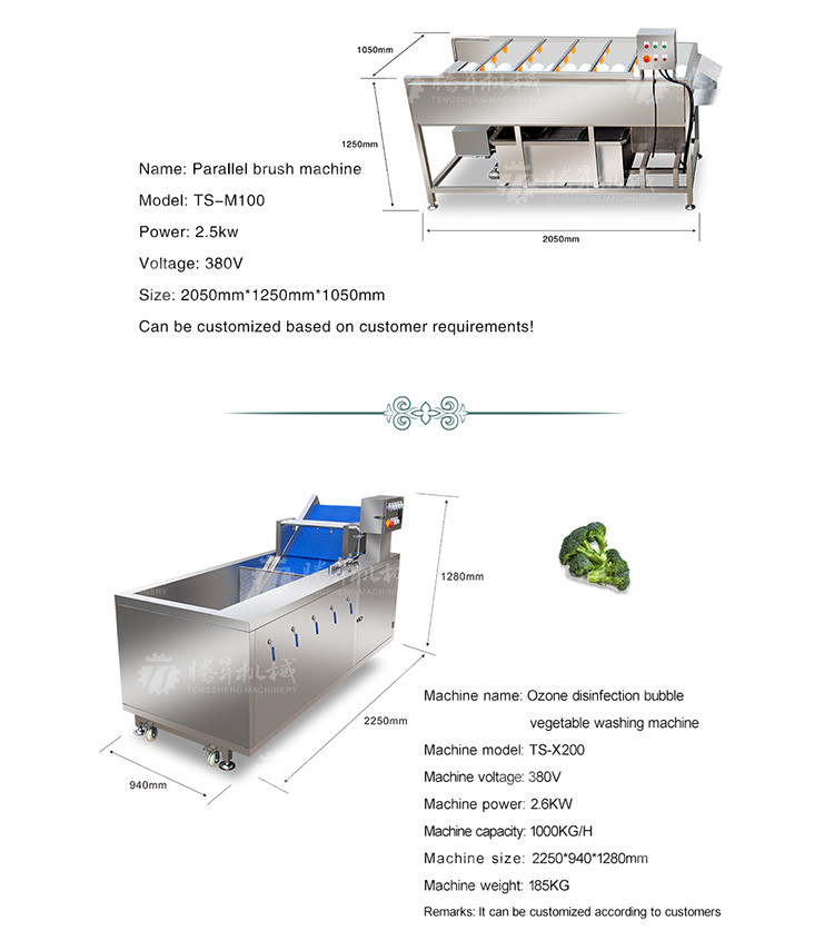 Fruit And Vegetable Wool Roller Bubble Cleaning Machine 1500KG/H