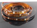 SMD5050 30LEDs/m strip