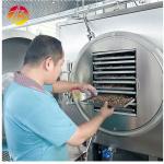Industrial Vacuum Freeze Dryer for Large Scale Food and Fruit Dehydration